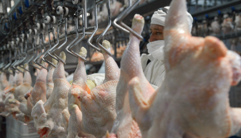 Confirmaron un caso de influenza aviar en Buenos Aires y Senasa suspendió exportaciones avícolas