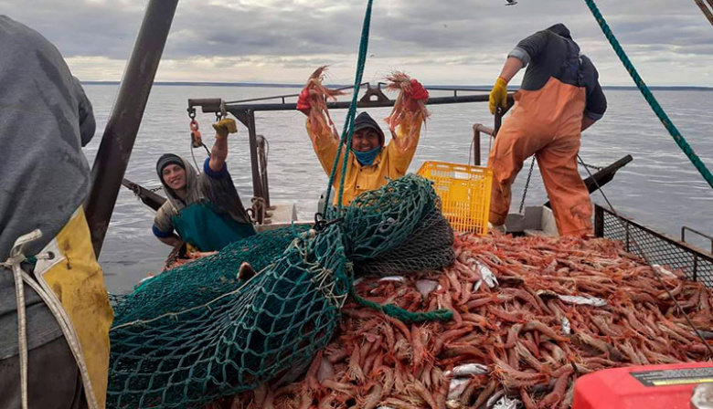 Tensión en el mar rionegrino: el SOMU rechaza al nuevo subsecretario de Pesca y se abre un frente gremial en San Antonio Oeste