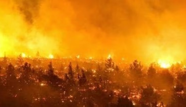 Chile en llamas: 120 muertos y más de 45 mil hectáreas afectadas por los incendios forestales