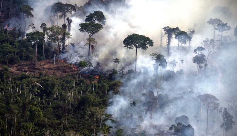 La Cumbre Amazónica: bajo el liderazgo de Lula, el cono sur busca imponer condiciones en materia medioambiental