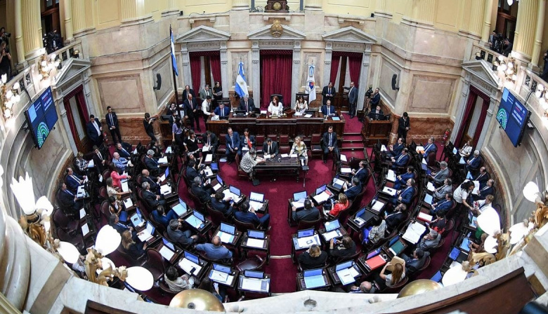El Senado rechazó la Ley de Ficha Limpia por un voto