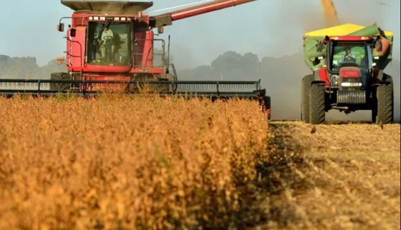 Clima de dudas tras el anuncio de Milei: el agro espera y no se apura a liquidar