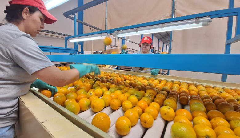 Las economías regionales en emergencia: productores denuncian abandono y concentración
