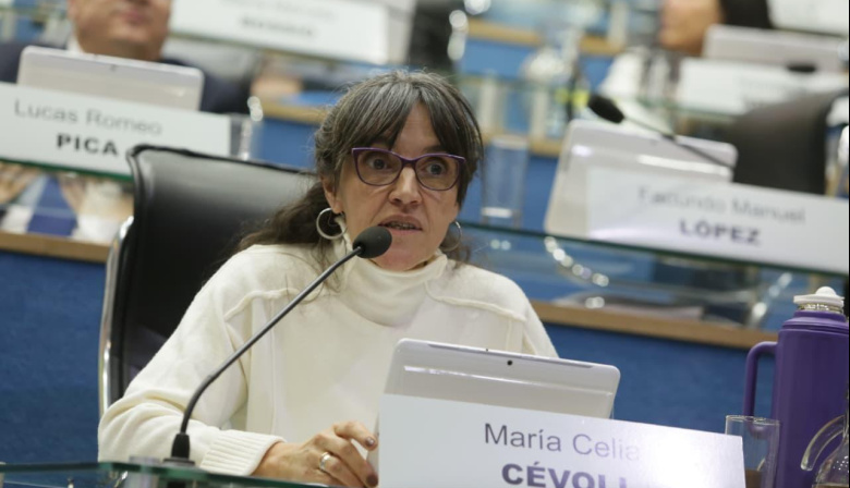 Río Negro avanza hacia la adhesión a la Ley Olimpia para combatir la violencia digital