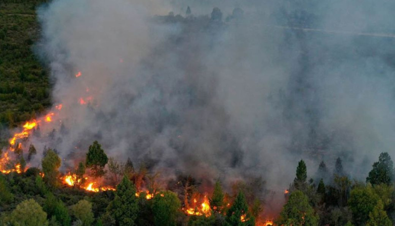 Tierras, incendios y agua: la extranjerización en Río Negro