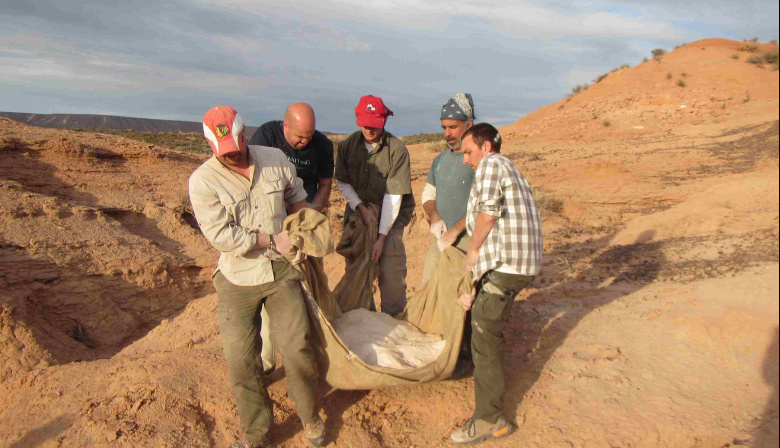 Hallazgo en La Buitrera: un diminuto dinosaurio rionegrino reescribe la historia evolutiva de los alvarezsauroideos