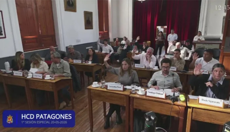 El HCD debate obras, seguridad y nuevos proyectos para Patagones