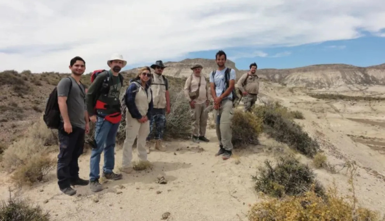 Descubren en Río Negro una palmera fósil de 20 millones de años