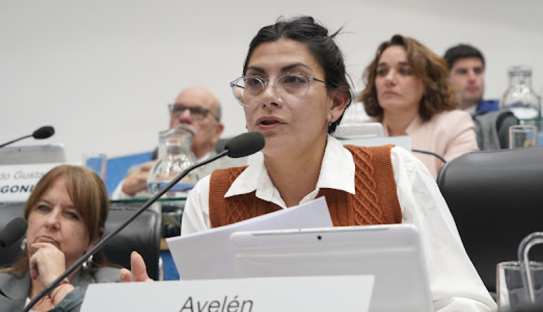 Impulsan un ente provincial para remediar la contaminación por plomo en San Antonio Oeste