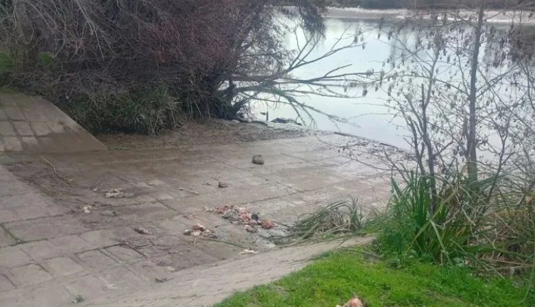 Conmoción en la costanera de Viedma por el hallazgo de animales descuartizados