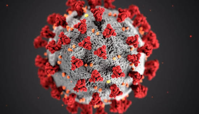 Alerta científica: la falta de control en virus amenaza con otra pandemia