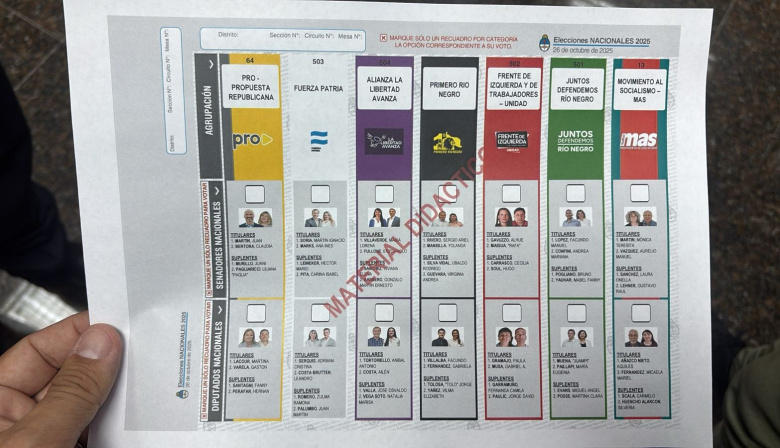 Río Negro: piden definir si la Boleta Única se aplicará en las elecciones de 2027