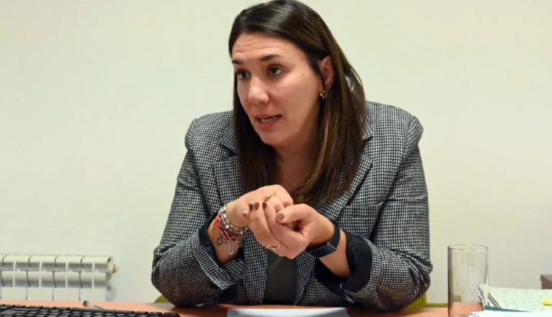 Viedma: Andría impulsa incentivos para inversiones y un calendario comercial