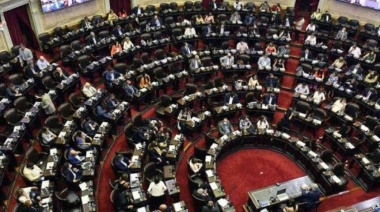 El Senado se opone al DNU presidencial en una votación decisiva, como votaron los senadores patagonicos