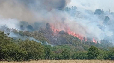 Neuquén enfrenta seis incendios forestales y refuerza el operativo en tres focos que siguen fuera de control
