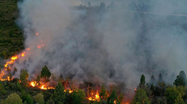 Tierras, incendios y agua: la extranjerización en Río Negro