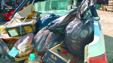 Decomisan 680 kilos de carne y clausuran un comercio por irregularidades en Viedma