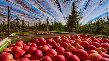 Manzana del Alto Valle: el peor junio exportador en 20 años