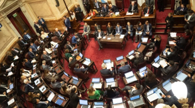 Fuerta derrota: el Gobierno podó la ley y borró los artículos más conflictivos