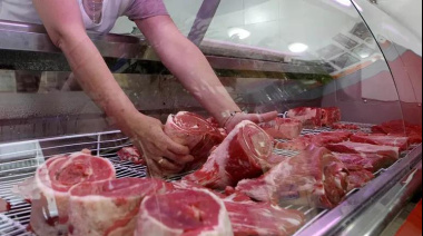 Carne en caída en Viedma: los vecinos compran al día y el pollo gana lugar en las carnicerías
