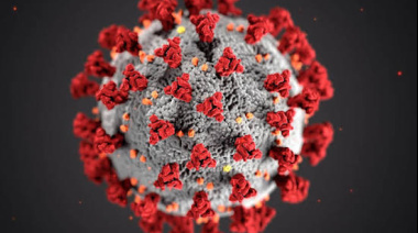 Alerta científica: la falta de control en virus amenaza con otra pandemia