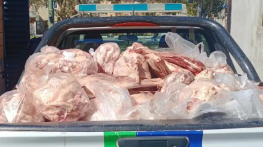 Viedma: decomisaron más de 3 toneladas de carne por irregularidades sanitarias