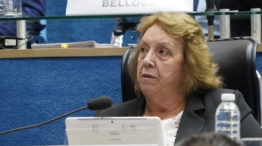 Mc Kidd acusó al ARI de traicionar a sus votantes y reavivó la disputa por la Zona Fría