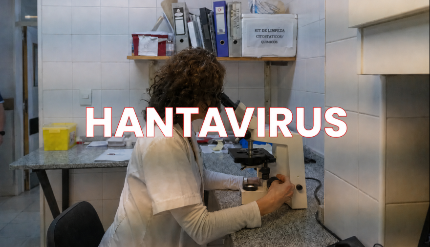 Hantavirus en Bariloche: confirmaron la cepa Andes