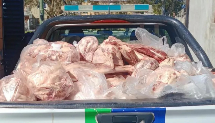 Viedma: decomisaron más de 3 toneladas de carne por irregularidades sanitarias