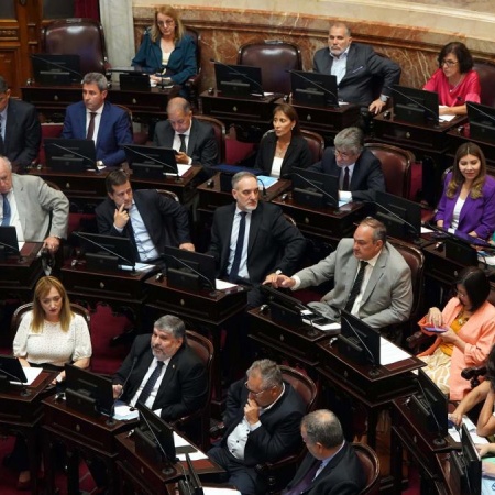 El senado debate en comisión la Boleta Única de Papel
