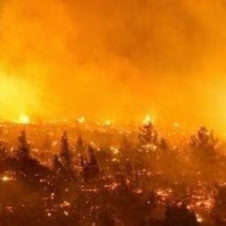 Chile en llamas: 120 muertos y más de 45 mil hectáreas afectadas por los incendios forestales