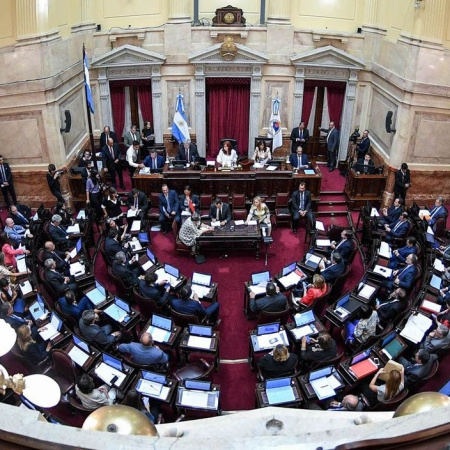 El Senado rechazó la Ley de Ficha Limpia por un voto