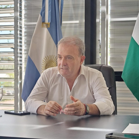 Pesatti con serías posibilidades de ser candidato a senador en las próximas elecciones