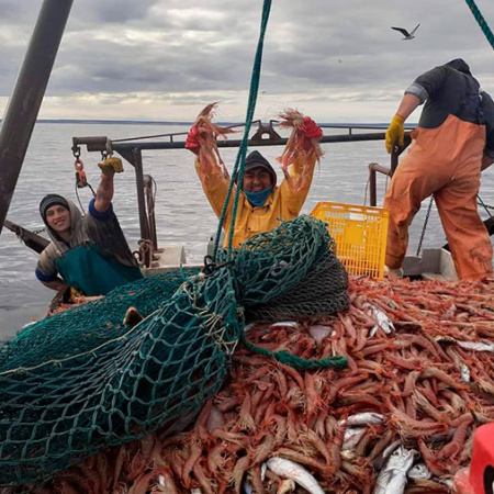 Tensión en el mar rionegrino: el SOMU rechaza al nuevo subsecretario de Pesca y se abre un frente gremial en San Antonio Oeste