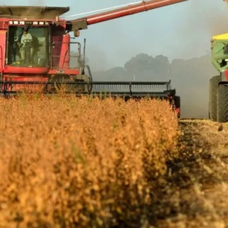 Clima de dudas tras el anuncio de Milei: el agro espera y no se apura a liquidar