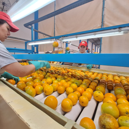 Las economías regionales en emergencia: productores denuncian abandono y concentración