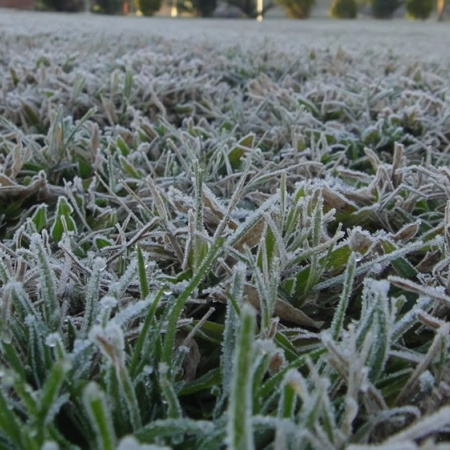 El frío persistirá en Viedma durante los próximos días: mínimas bajo cero y vientos intensos