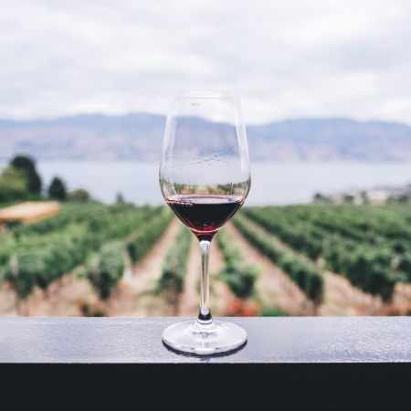 Bodegas rionegrinas dirán presente en Hotelga, la feria nacional de hotelería y gastronomía