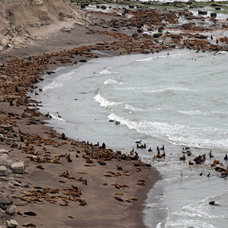 Río Negro celebra el Día de las Áreas Naturales Protegidas