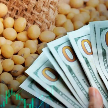 Prematuro fin de la quita de retenciones: el agro alcanzó el cupo de u$s7.000 millones y vuelven los derechos de exportación