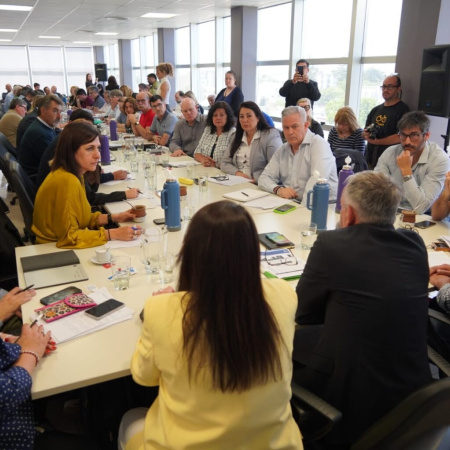 La Legislatura analizó el proyecto para autorizar sobregiros del FUCO y la emisión de Letras de Tesorería en 2026