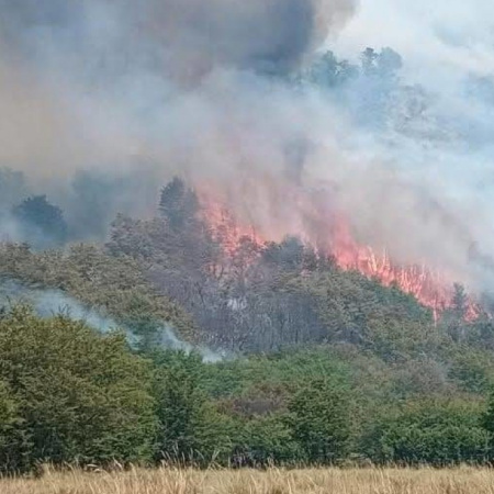 Neuquén enfrenta seis incendios forestales y refuerza el operativo en tres focos que siguen fuera de control