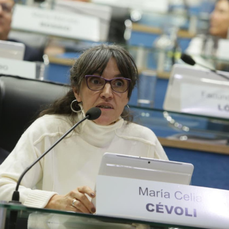 Río Negro avanza hacia la adhesión a la Ley Olimpia para combatir la violencia digital