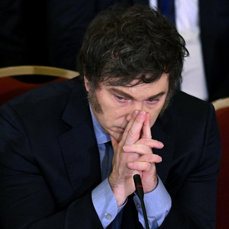 Milei agradeció a brigadistas y voluntarios por el combate de los incendios en la Patagonia