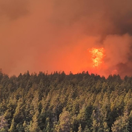 Nación destaca avances en el combate de incendios en Chubut, pero la Provincia advierte que el foco principal sigue activo