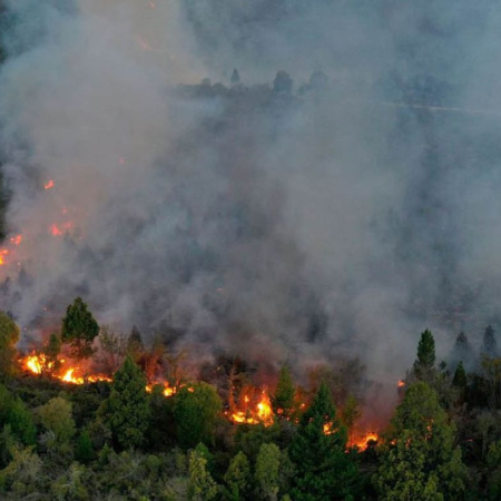 Tierras, incendios y agua: la extranjerización en Río Negro