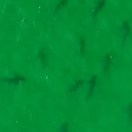 Más de 100 tiburones bacota fueron registrados en el Golfo San Matías y científicos piden proteger el área