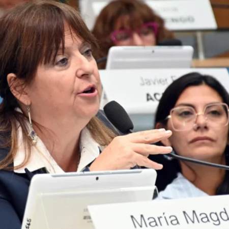 Odarda pidió investigar la compra de tierras y divisas en zona de frontera