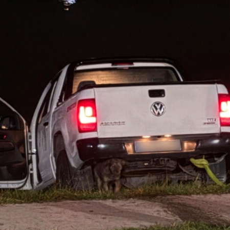 Insólito: Cayó al río con su camioneta y dio positivo en alcoholemia