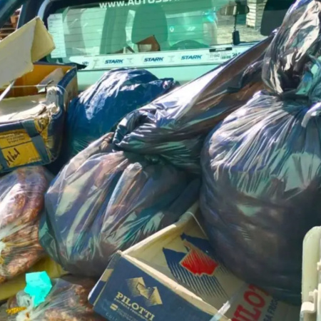 Decomisan 680 kilos de carne y clausuran un comercio por irregularidades en Viedma